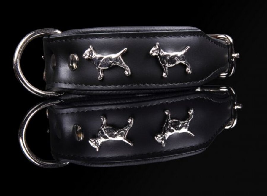 Leather dog collar Bull Terrier