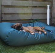 Dog's Companion Dog bed green coating large