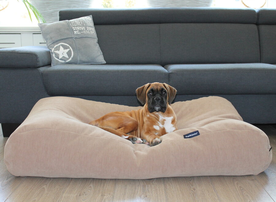 Dog bed Caramel (chenille velours) Extra Small