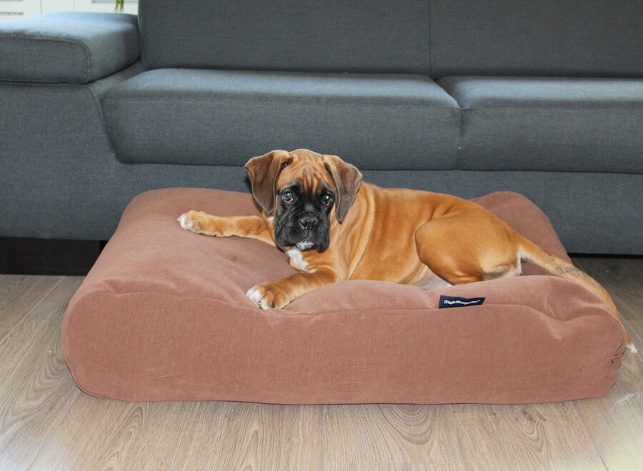 Dog bed Mocha (chenille velours) Extra Small