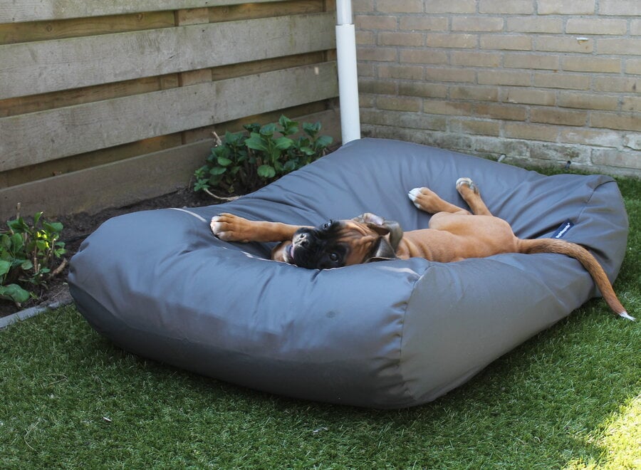 Dog bed charcoal coating