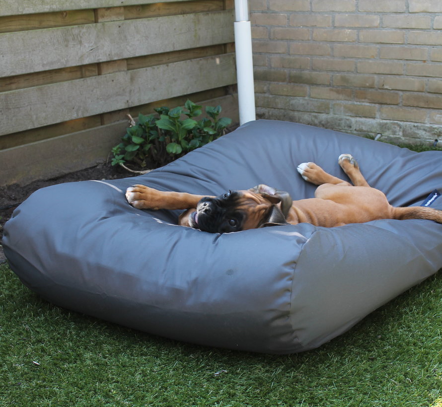 Dog bed charcoal coating superlarge