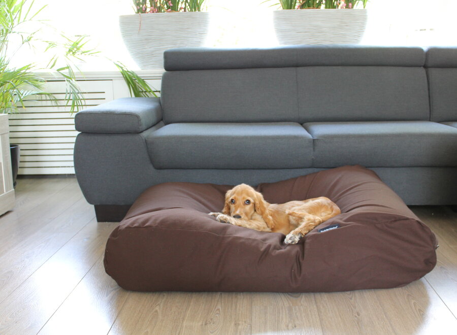 Dog bed chocolate brown superlarge