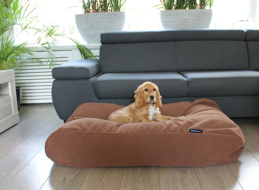 Dog bed Mocha (chenille velours) Extra Small