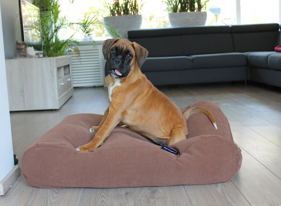 Dog bed Mocha (chenille velours) Small