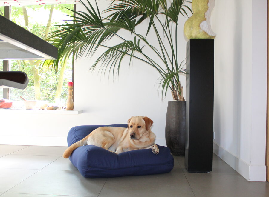 Dog bed dark blue