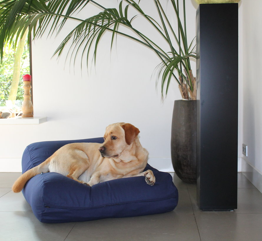 dark blue dog bed