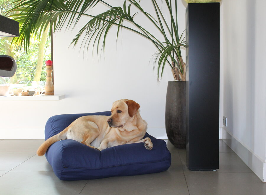 Dog bed dark blue large