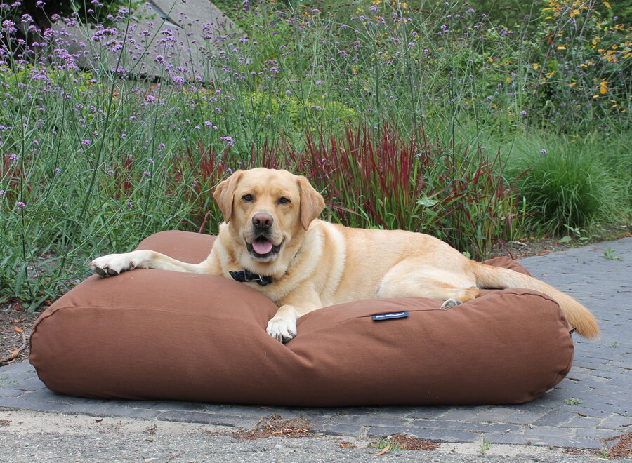 Dog bed Mocha Extra Small