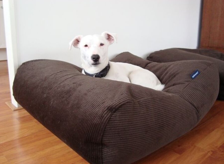 Dog bed chocolate brown corduroy