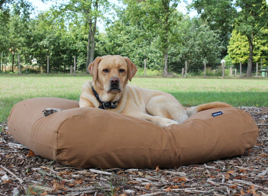 Dog bed Cinnamon Extra Small