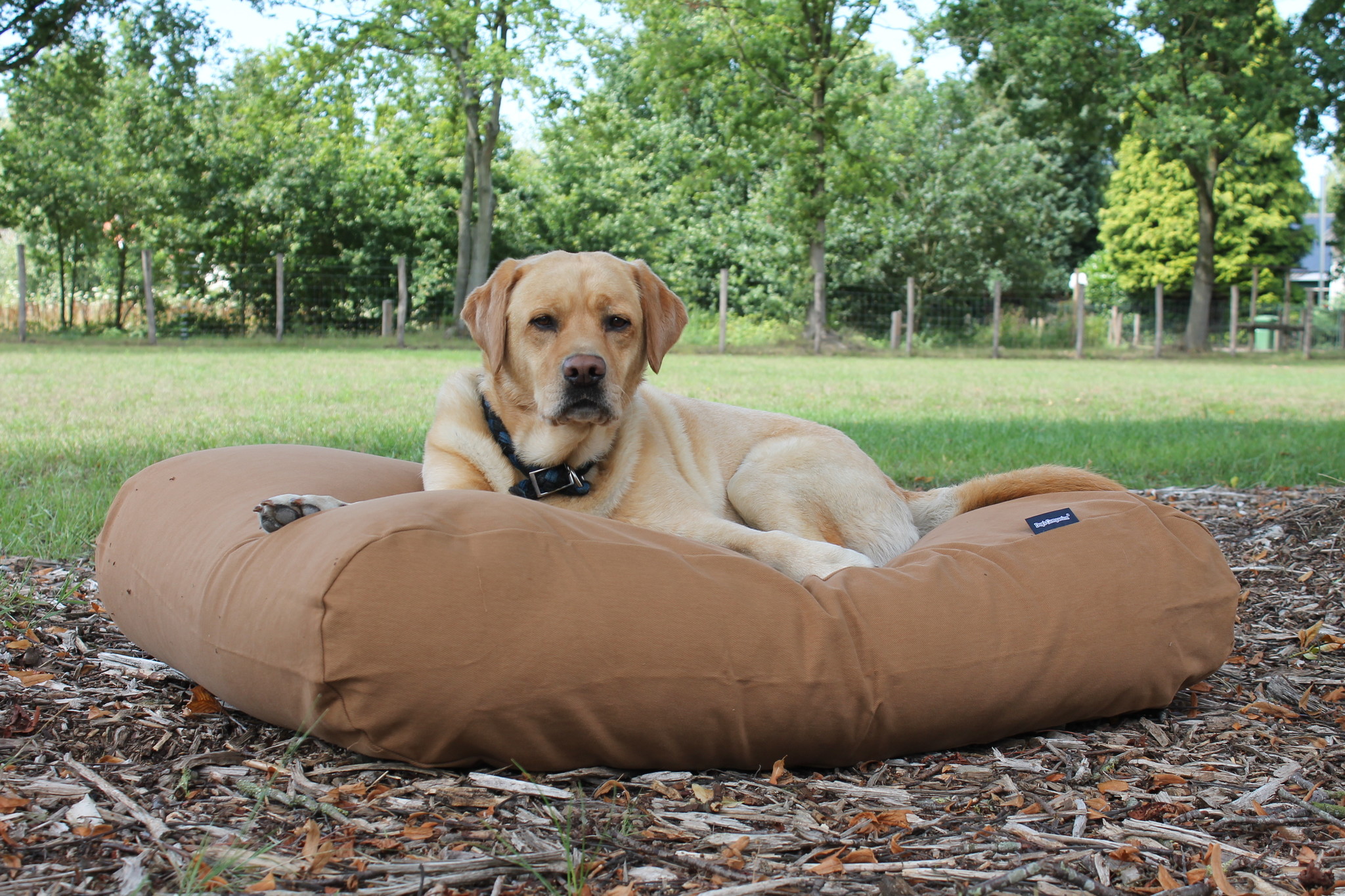 extra extra small dog bed