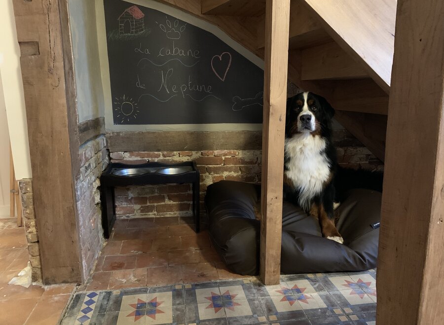 Dog bed chocolate brown leather look