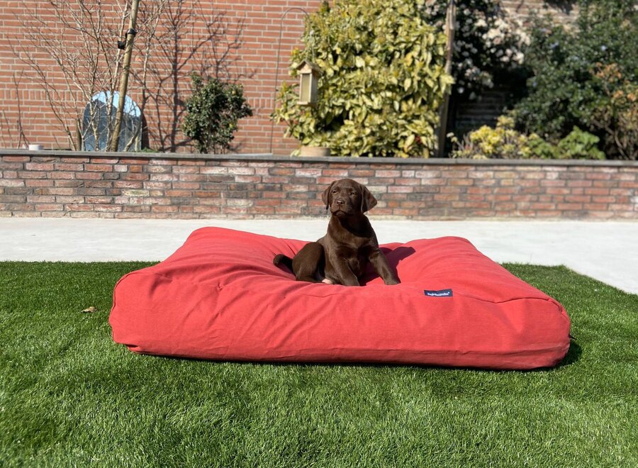 Dog bed brick-red medium