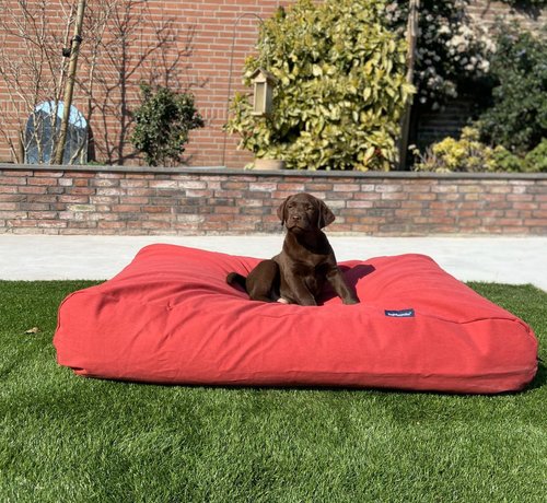 Dog's Companion Dog bed Brick-Red Large