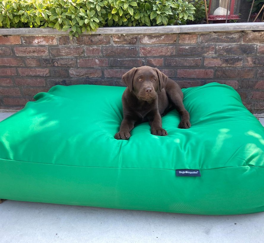 Dog bed spring green coating Dog beds by Dog's Companion®