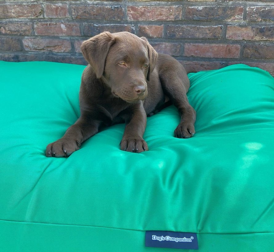 Dog bed spring green (coating) Extra Small