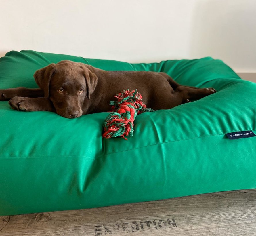 Dog bed spring green coating Dog beds by Dog's Companion®