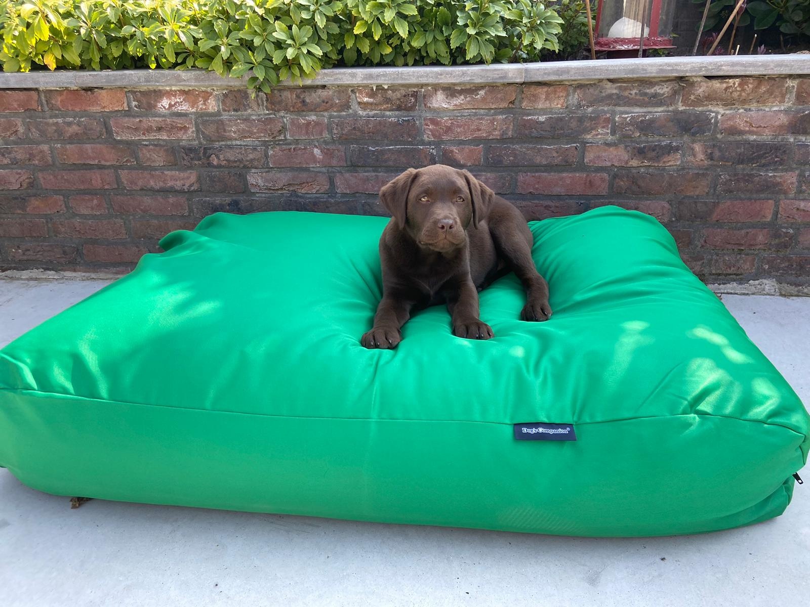 Dog bed spring green (coating) Large - Dog beds by Dog's Companion®