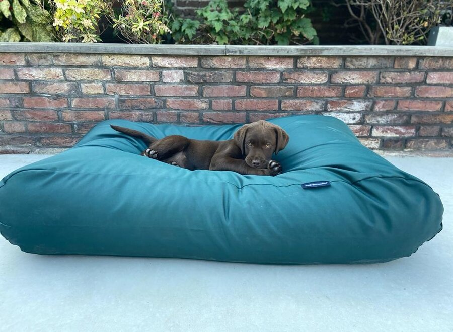 Dog bed green coating large