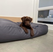 Dog's Companion Dog bed Charcoal (coating) Small