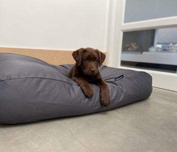 Dog's Companion Dog bed Charcoal (coating) Small