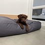 Dog bed charcoal coating small