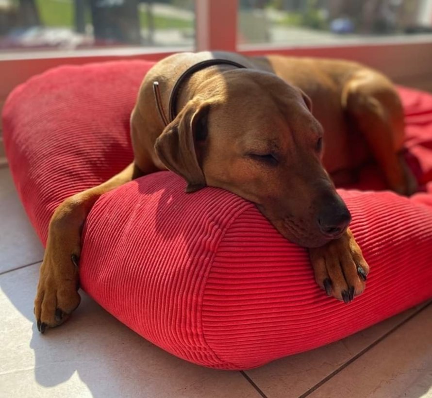 Dog bed red corduroy