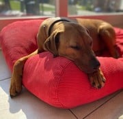 Dog's Companion Dog bed Red (Corduroy) Extra Small