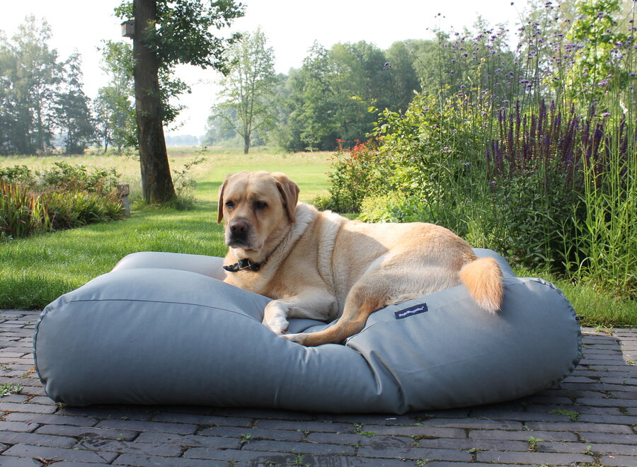 Dog bed Light grey (coating) Small