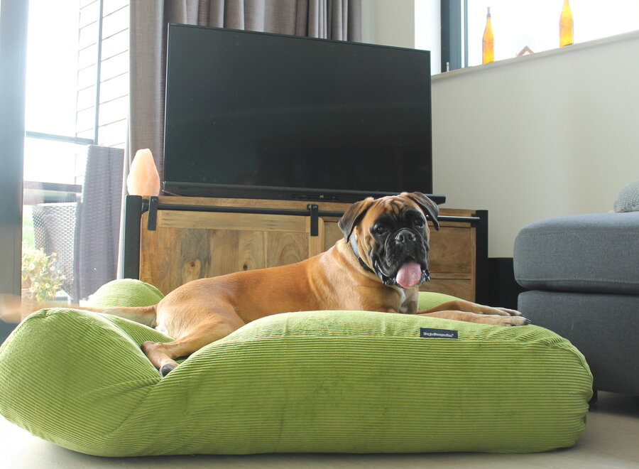 Dog bed apple green corduroy large