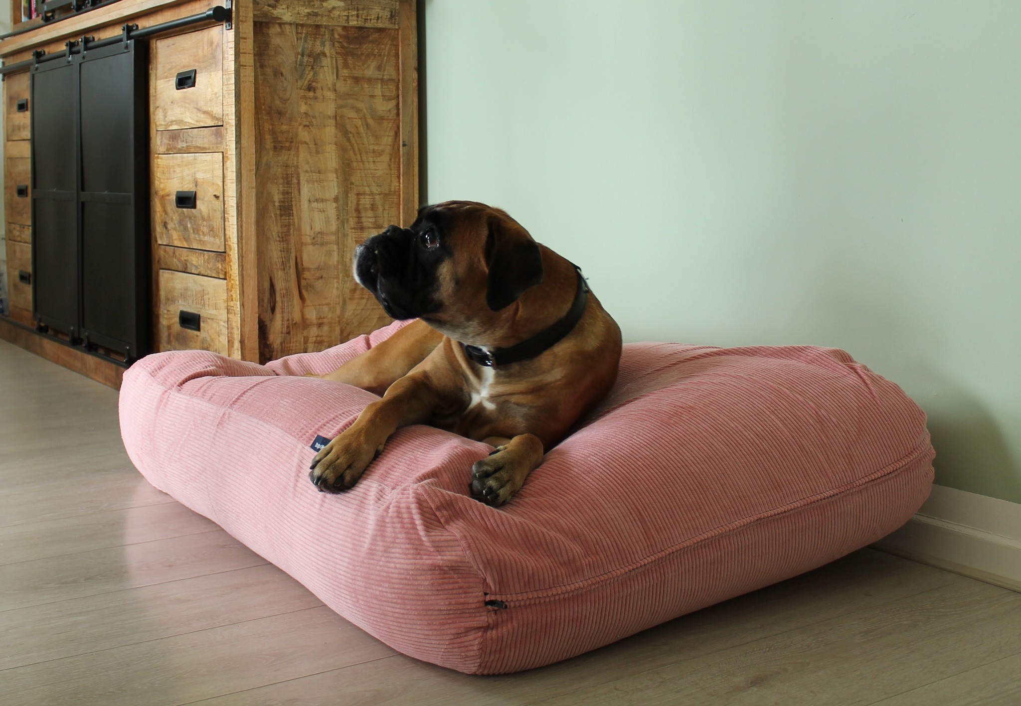 10 Small Changes That Will Have A Huge Impact On Your bed for dog