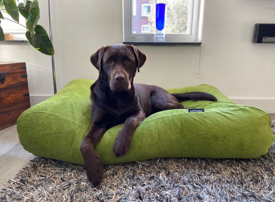 Dog bed apple green corduroy