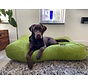 Dog bed apple green corduroy superlarge