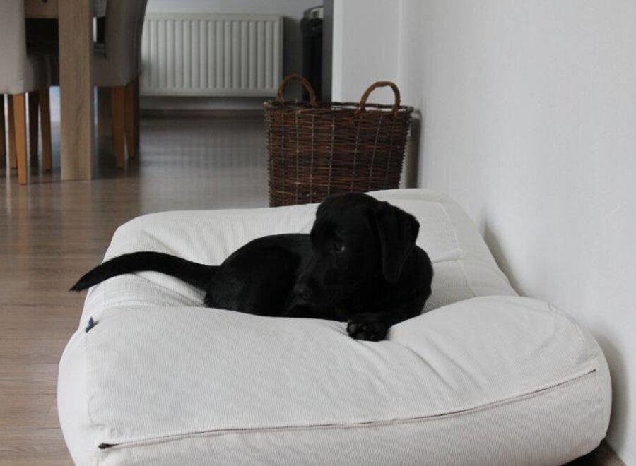 Dog bed off-white corduroy