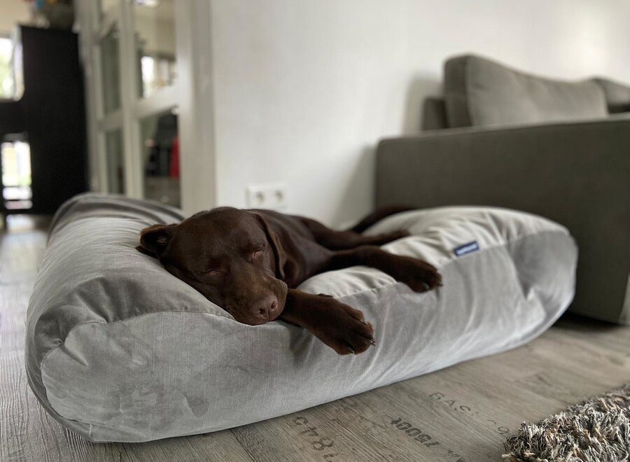 Dog bed Elephant velvet