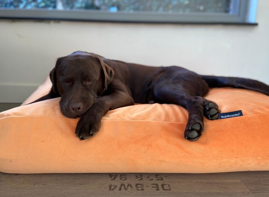 Dog bed Peach Velvet