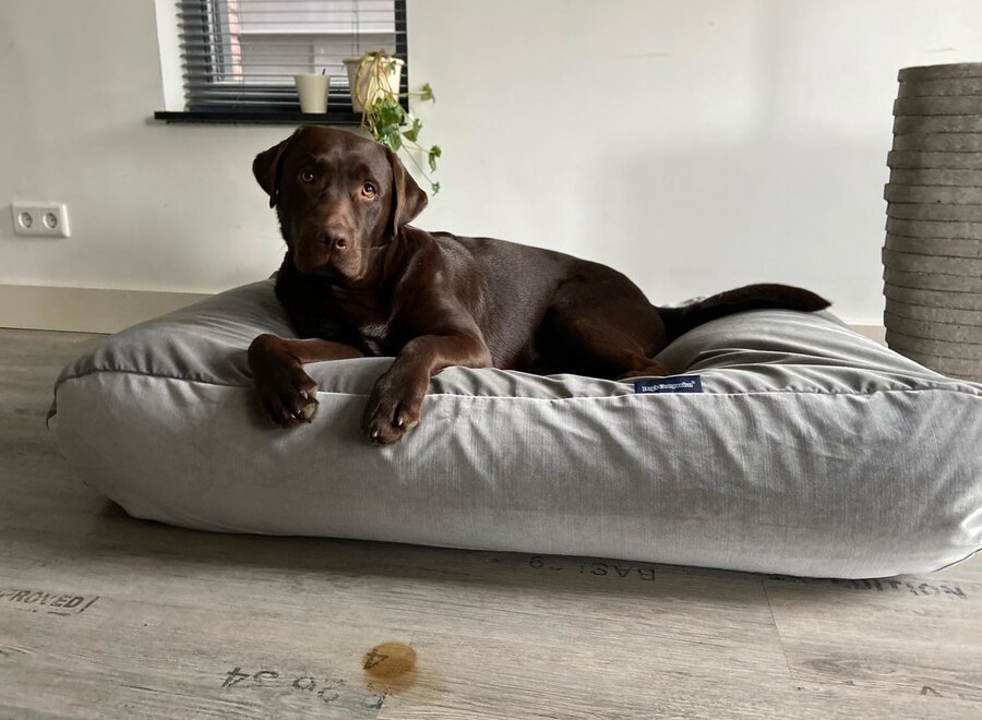 Dog bed Elephant velvet