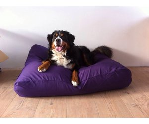 Dog's Companion Coussin pour Chat Extra Small Ocean - Coussins