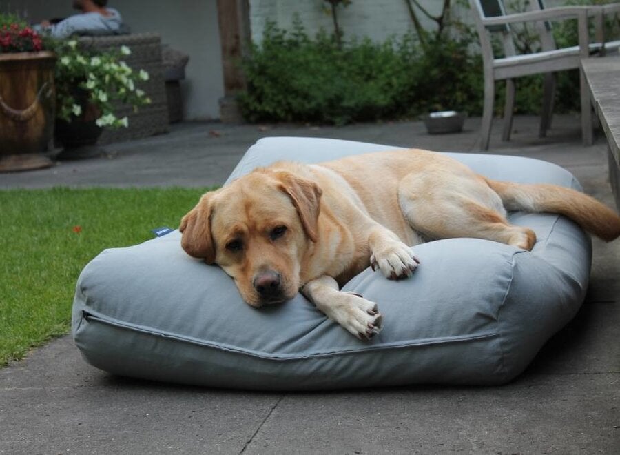 Dog bed light grey