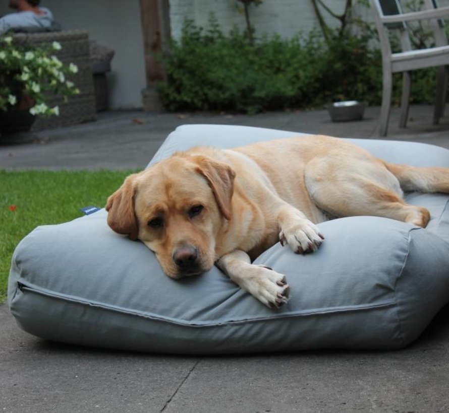 light grey dog bed