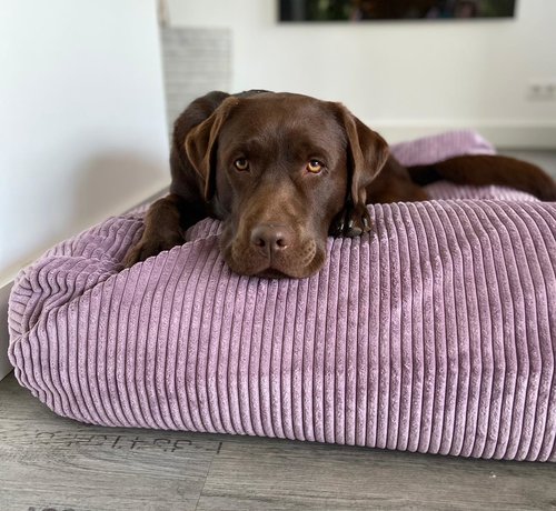 Dog's Companion Dog bed Lavender giant corduroy