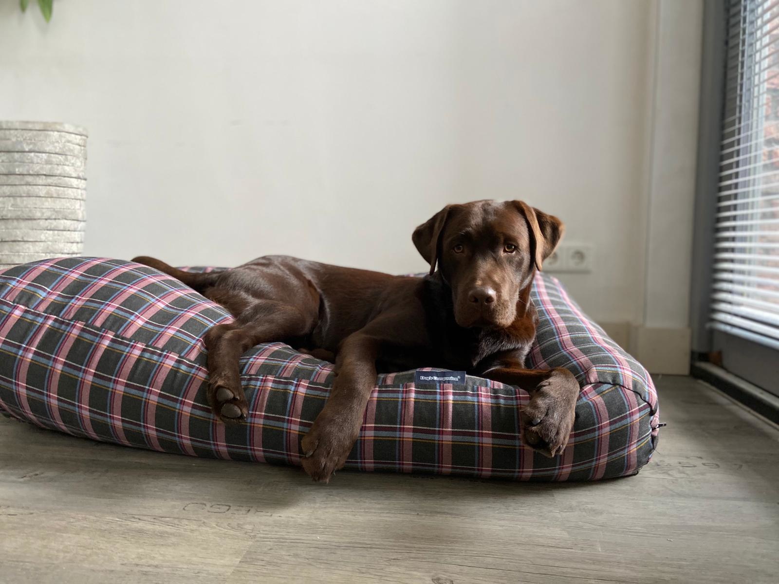 tartan dog bed