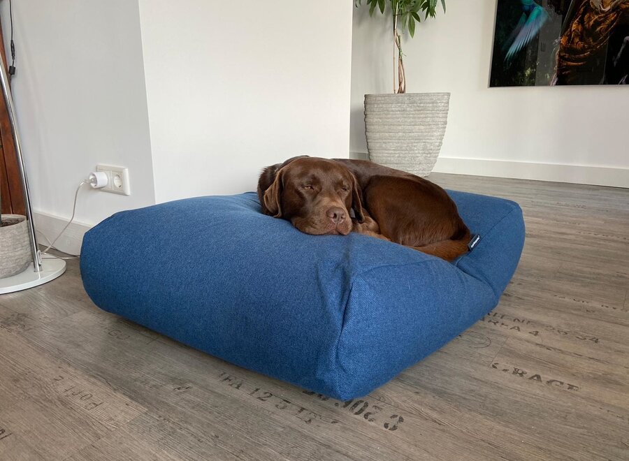 Dog bed Strong Vancouver blue