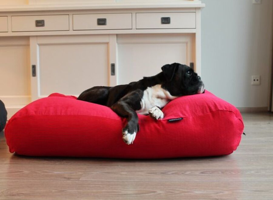 Dog bed Red Corduroy polyester small