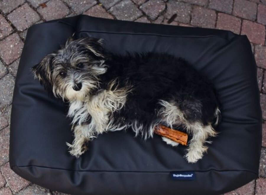 Dog bed Black leather look