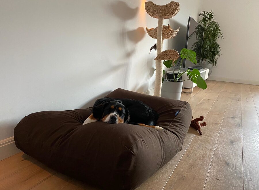 Dog bed chocolate brown superlarge