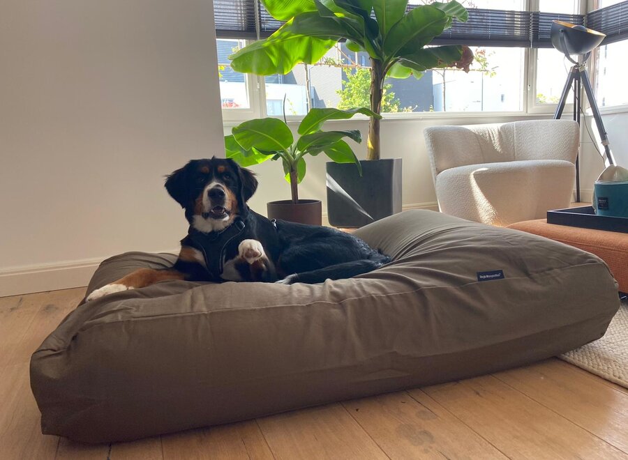 Dog bed taupe/brown