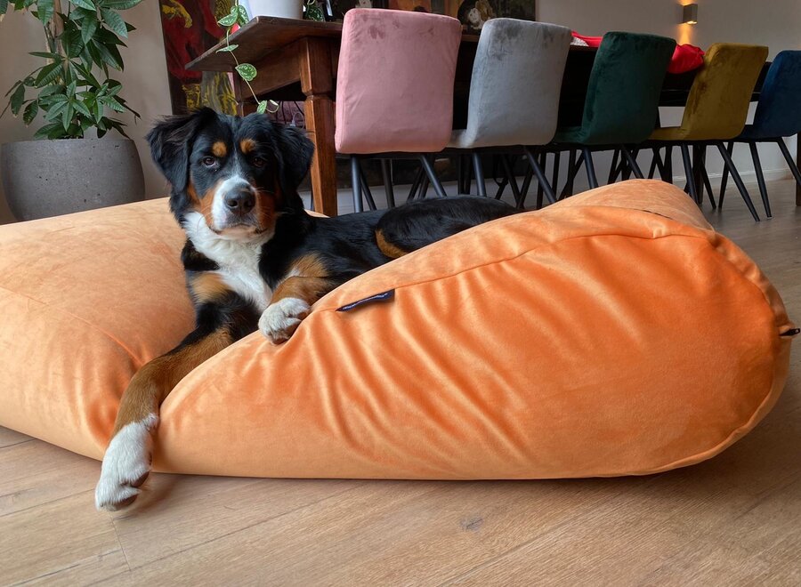 Dog bed Peach Velvet
