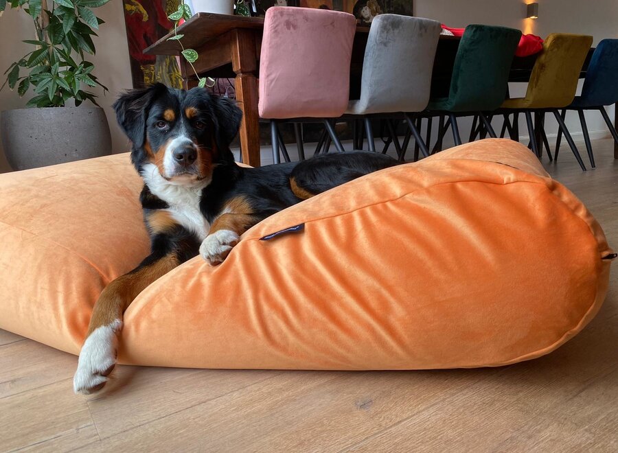 Dog bed peach velvet medium